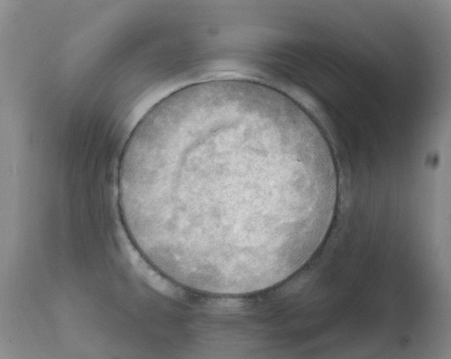 X0000112101431200909151149