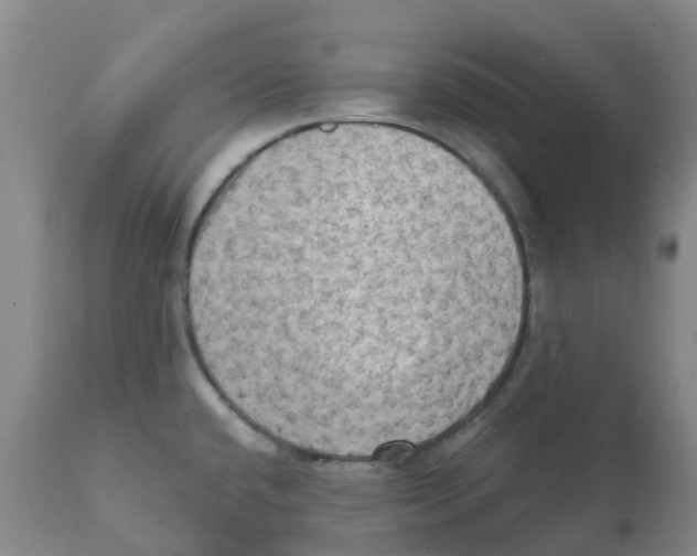 X0000112101432200909151149