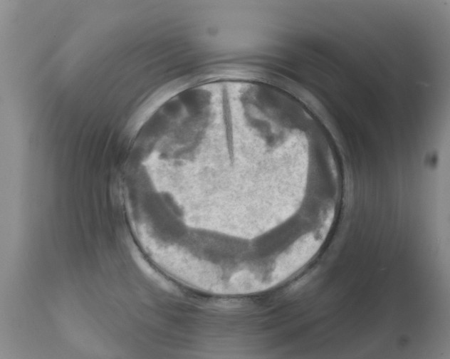 X0000112101433200909151149