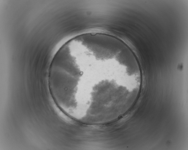 X0000112101438200909151149