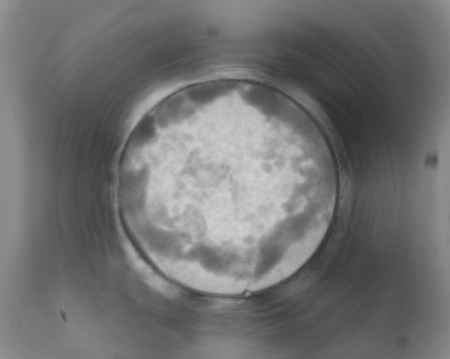 X0000112101439200909151149