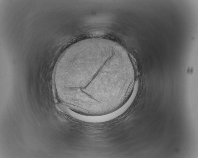 X0000112101441200909151148