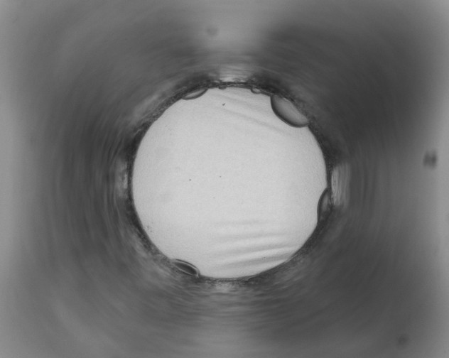X0000112101443200909151148