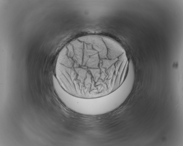 X0000112101444200909151148