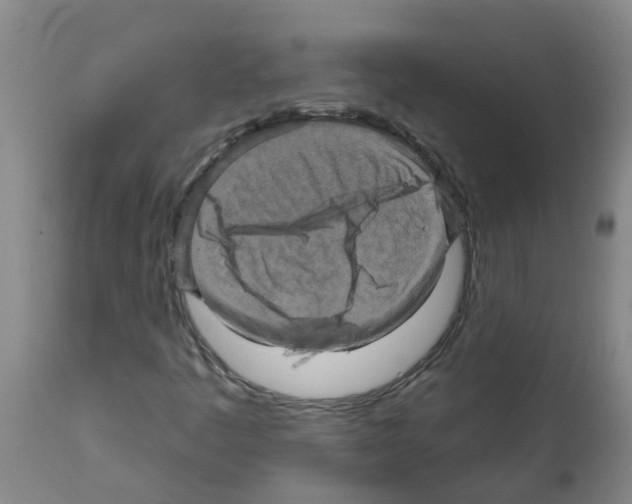 X0000112101445200909151148