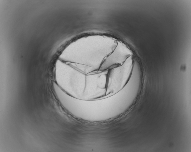 X0000112101448200909151148