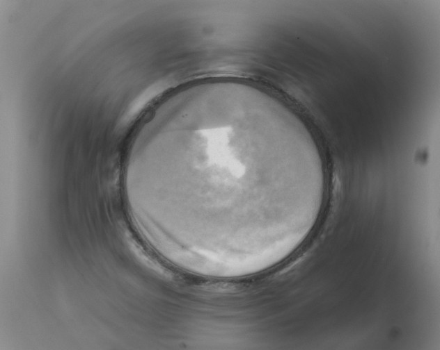 X0000112101450200909151148
