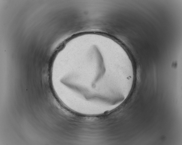 X0000112101452200909151148
