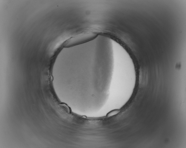 X0000112101453200909151148