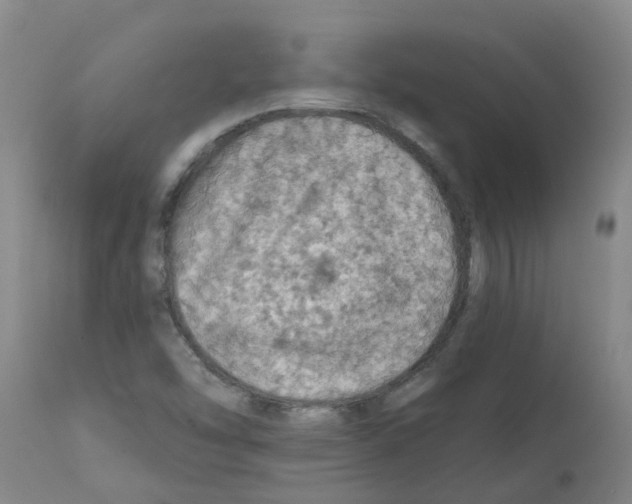 X0000112101454200909151148