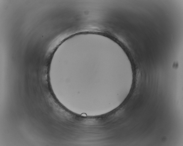 X0000112101455200909151148