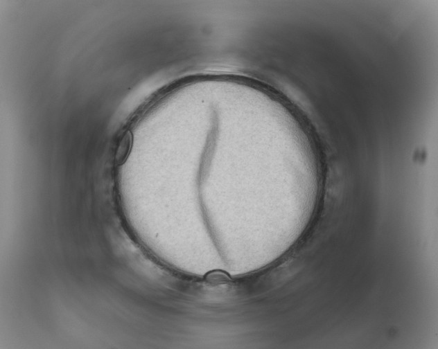X0000112101456200909151148