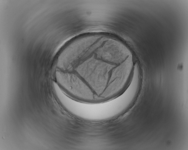 X0000112101457200909151148