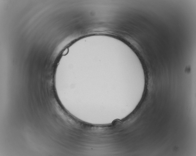 X0000112101458200909151148