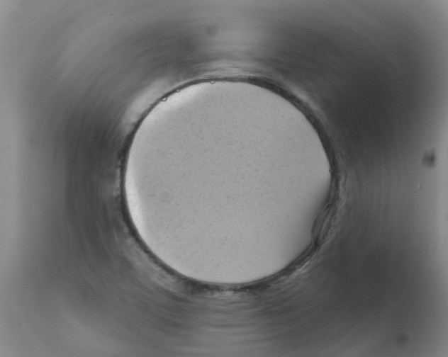 X0000112101459200909151148