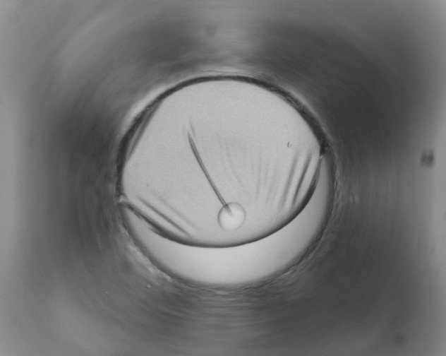X0000112101460200909151148