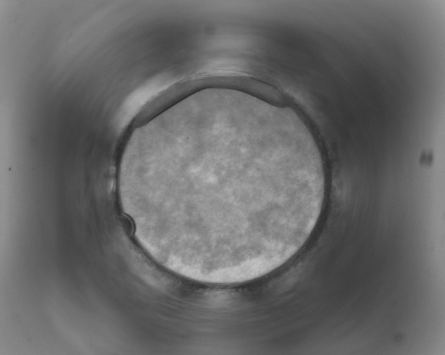 X0000112101461200909151148