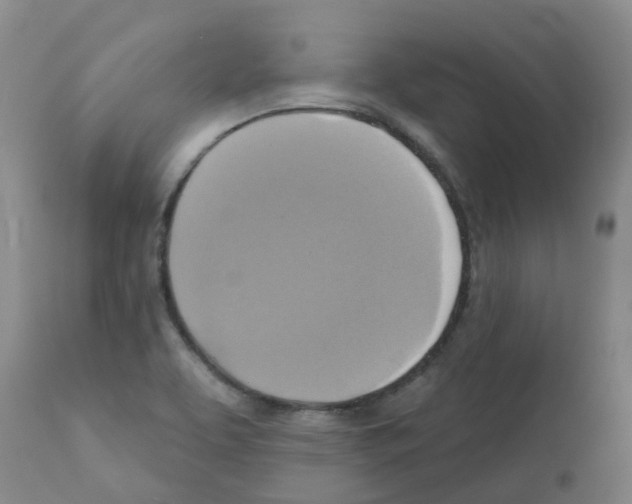 X0000112101463200909151148