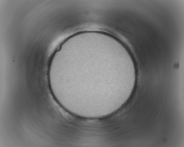 X0000112101464200909151148