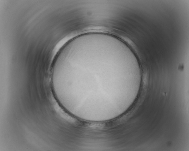X0000112101466200909151148