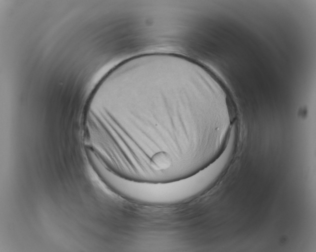 X0000112101468200909151148