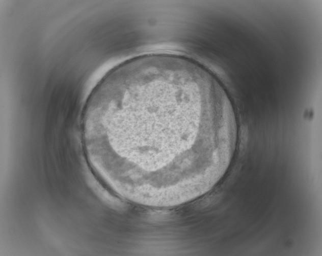 X0000112101470200909151148
