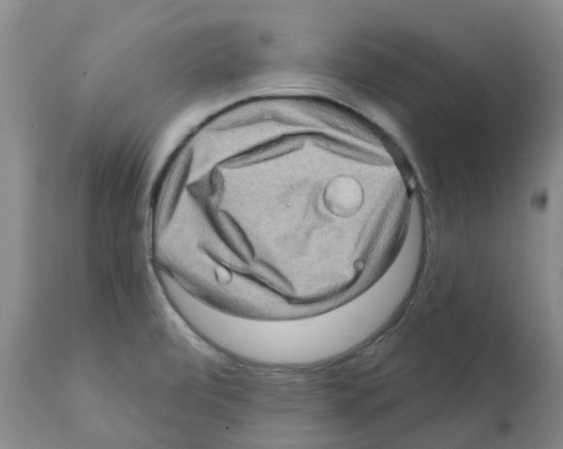 X0000112101472200909151148