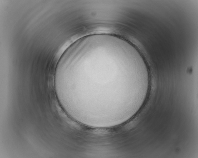 X0000112101473200909151148