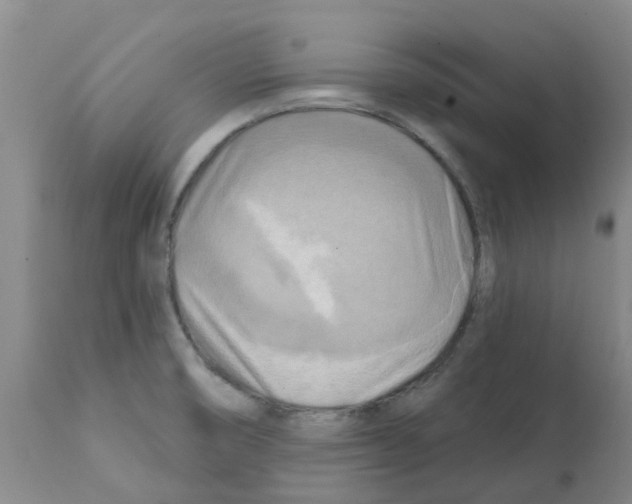 X0000112101474200909151148