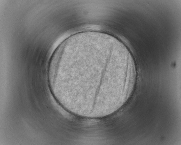 X0000112101475200909151148