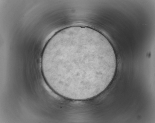 X0000112101476200909151148