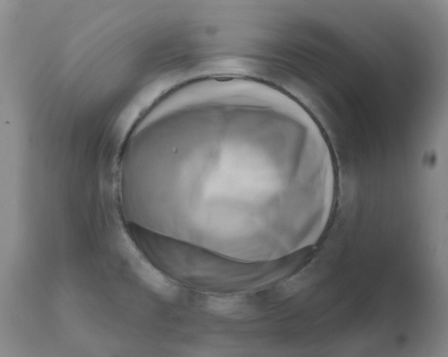 X0000112101477200909151148