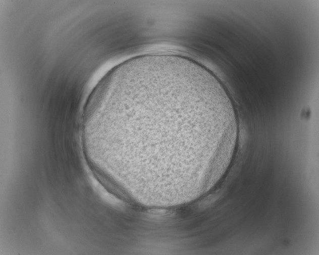 X0000112101478200909151148