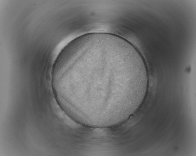 X0000112101480200909151148