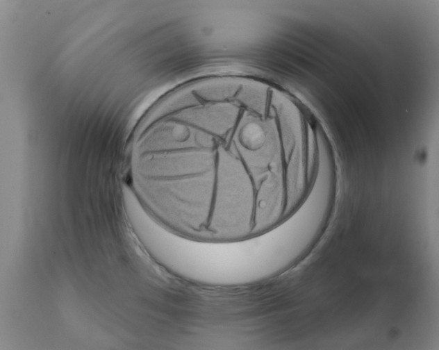X0000112101481200909151148