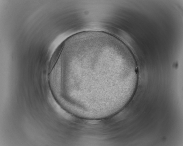 X0000112101484200909151148