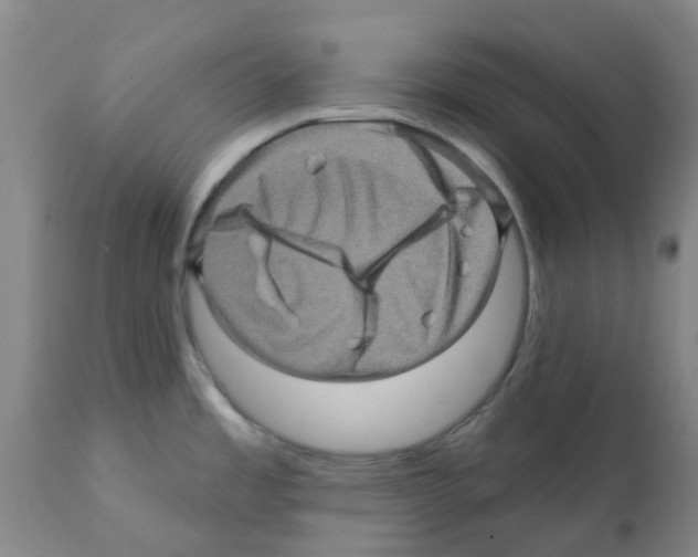 X0000112101485200909151148