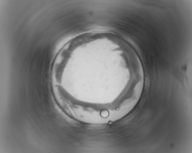 X0000112101487200909151148