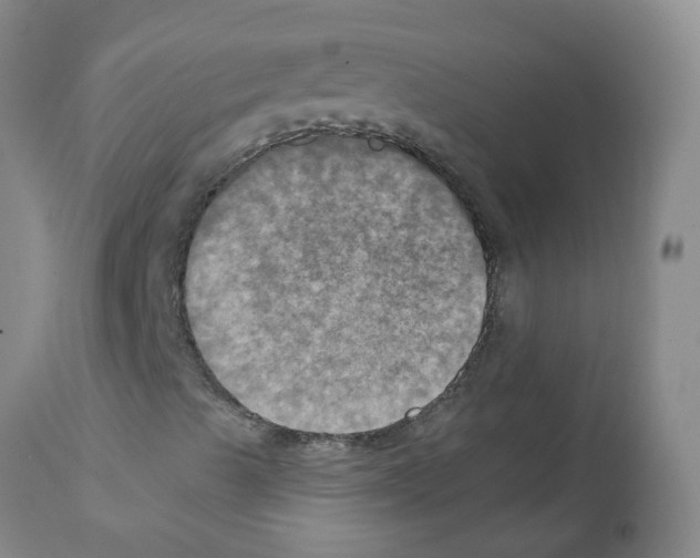 X0000112101489200909151147