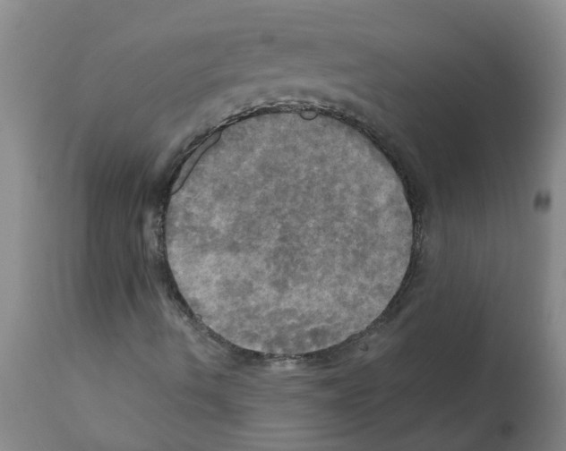 X0000112101490200909151147