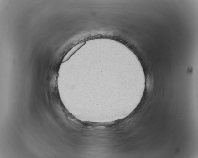 X0000112101492200909151147