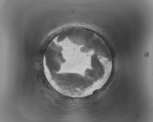 X0000112101494200909151147