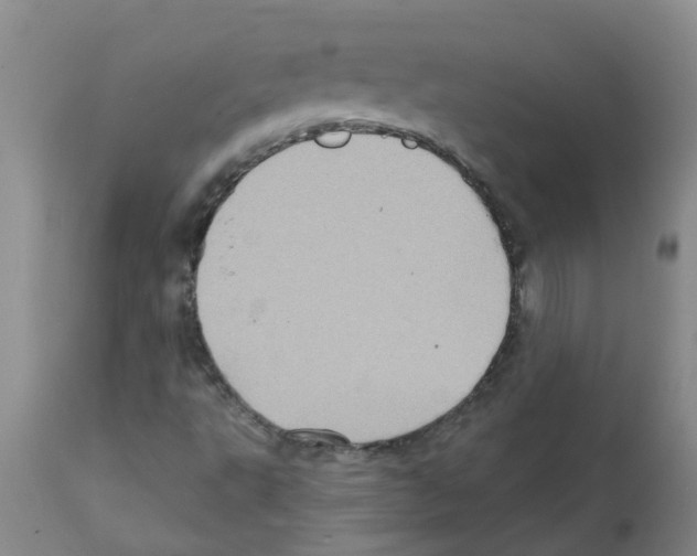 X0000112101495200909151147