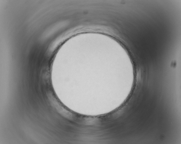 X0000112101498200909151147