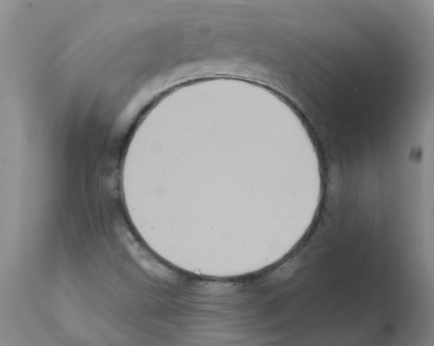 X0000112101499200909151147