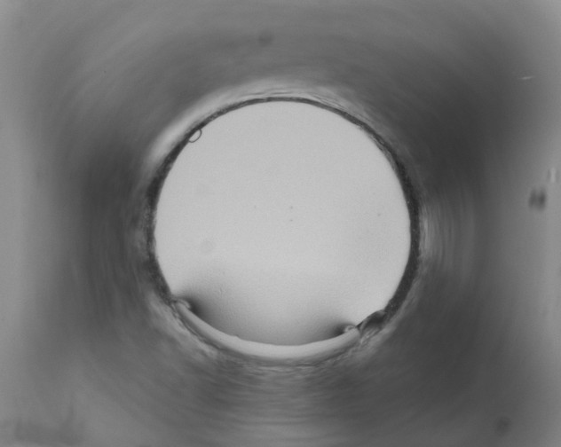 X0000112101502200909151147