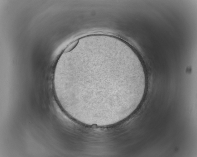 X0000112101504200909151147