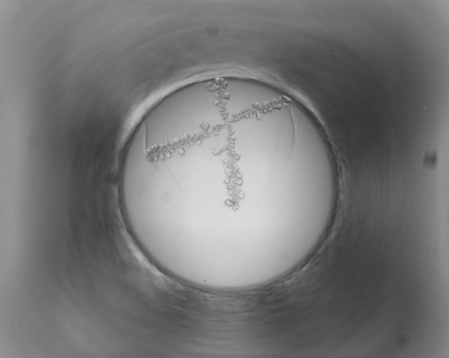 X0000112101508200909151147