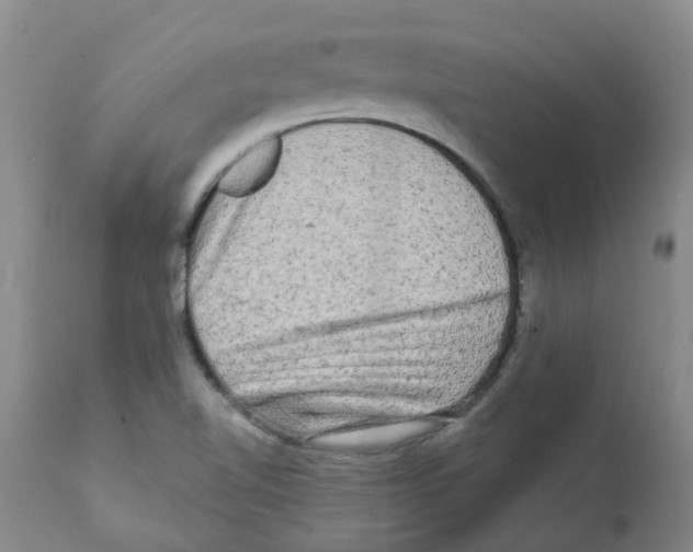 X0000112101510200909151147