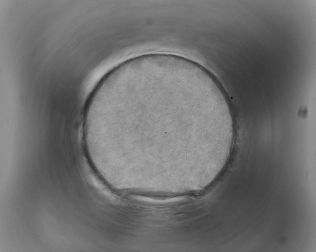 X0000112101511200909151147
